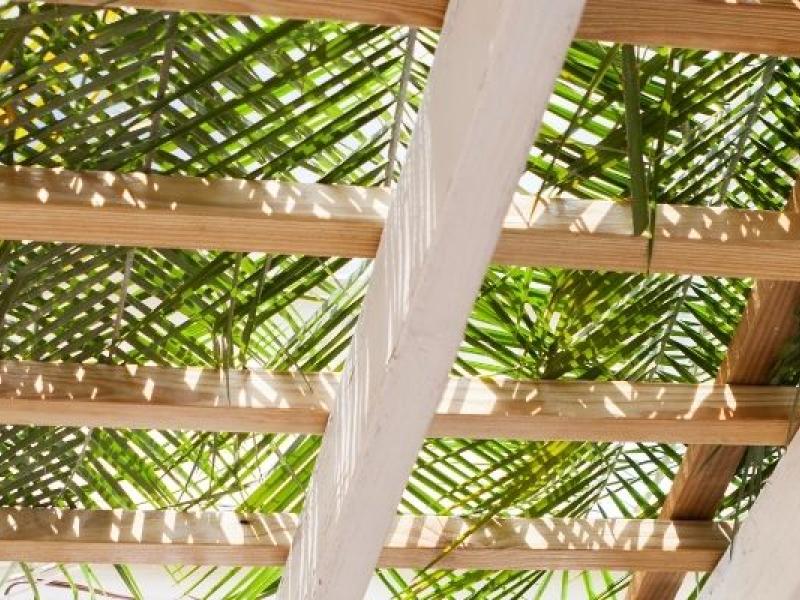 Sukkot